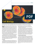 Cell Biology (Publication Analysis 1996-2007)