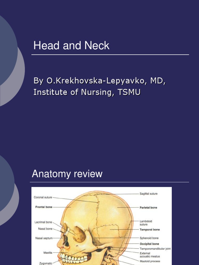 03 - Assessment of Head, Neck and Related Lymphatic | PDF | Thyroid ...