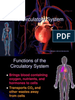 Circulatory System Anp