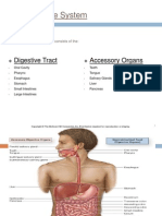 Unit 8 - Gastrointestinal Physiology