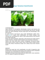 Download Teknis Budidaya Tanaman Sawi by Siswanto Fadhil SN246543894 doc pdf