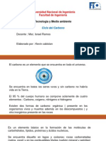 Ciclo Del Carbono TMA