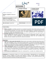 Ficha Técnica - Hongos Superficiales