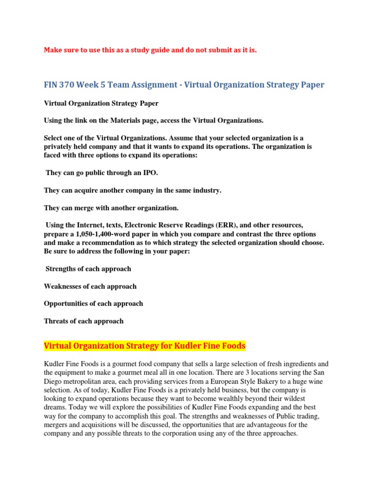 Virtual organization strategy paper essay example image