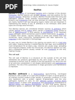 Download Bacillus by drgauravsinghal SN24655354 doc pdf
