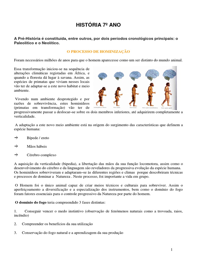 Pré-História e Hominização no 7º Ano | PDF | Neolítico | Homo Sapiens