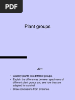 Plant Classification