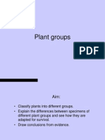 Plant Classification