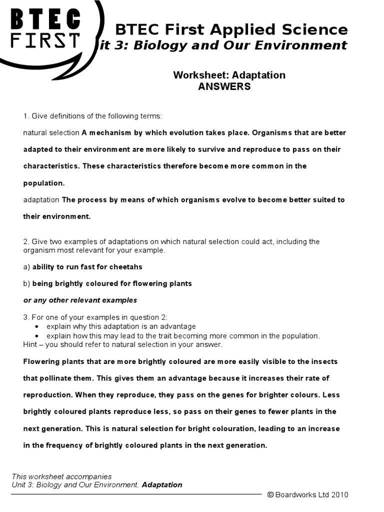 worksheet Adaptations Worksheet adaptation answers natural selection