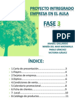 Fase 3 Power Point .