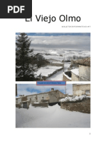 Asociación El Viejo Olmo. Revista 2015 | PDF