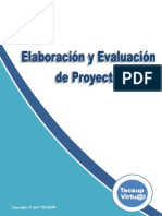 Elaboración y Evaluación de Proyectos - Tecsup - Cap 1