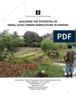 Small-Scale Urban Agriculture in Havana