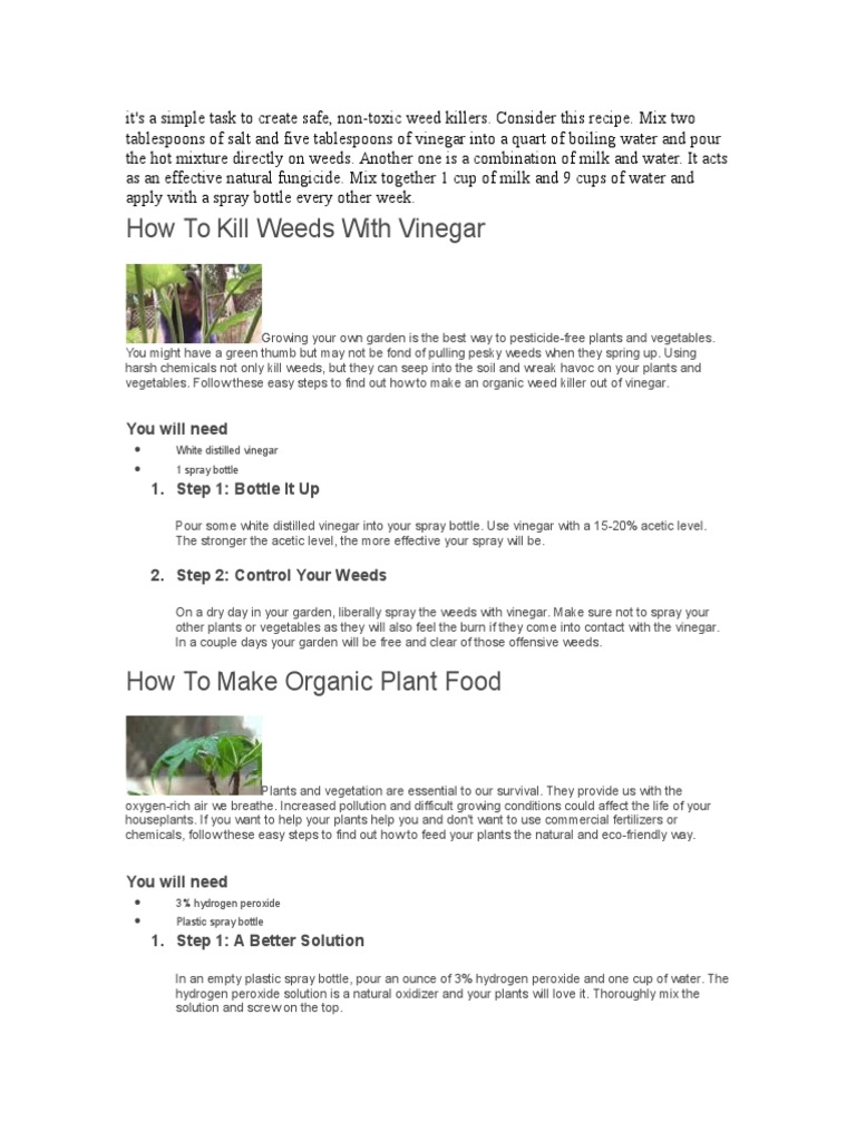 How To Make Organic Plant Food PDF Vinegar Plants