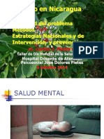 Suicidio en Nicaragua, DMSM2014