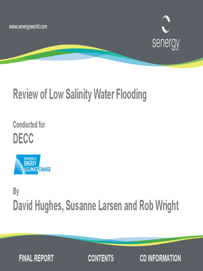Low Salinity Water Flooding Review | PDF | Clay Minerals | Ion