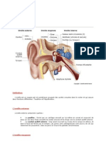 Anatomi de L'oreille
