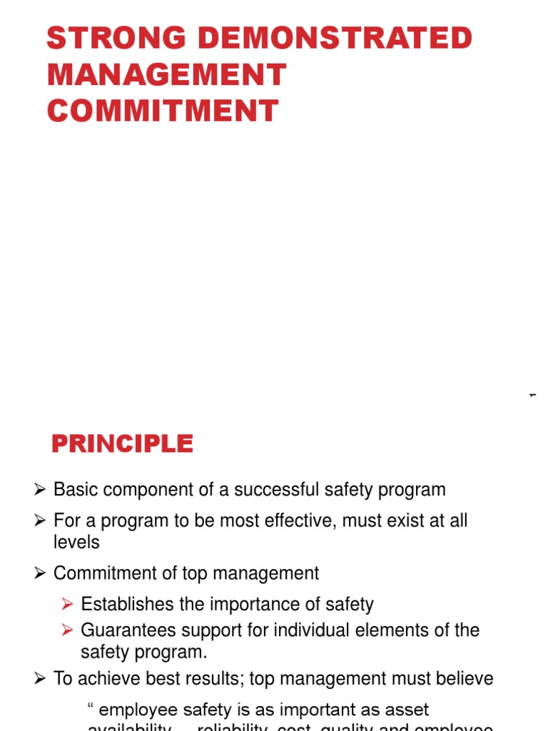 Management Commitment to Safety Principles | PDF | Safety | Audit