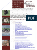 Wild Turkey Resources 