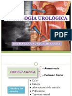 Semiologia Urológica 