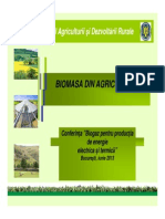Energia Din Biomasa CA Optiune de Dezvoltare Pentru Agricultura Romaneasca