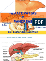 Aparato Digestivo Higado Pancreas