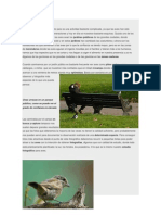 Biografia de Aves