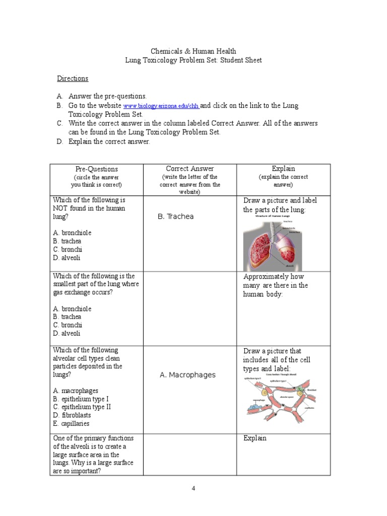 lung-toxicology-worksheet-word-1-smoke-lung