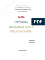 Rabia, Leptospira, Anaplasmas y Erhlichia