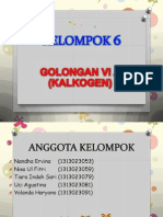 Golongan VI (Kalkogen) - 1