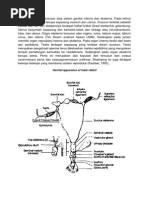 Download reproduksi kelinci by Anggi Dyah Aristi SN246647110 doc pdf