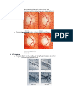 Fundus Photo