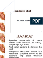 Apendisitis Akut Fkik Unja