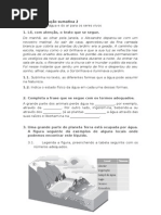 Ficha Avaliacao Sumativa 2