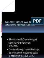 Skeletni Misici Kao Efektori1 PDF