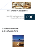 Sea Shells Investigation