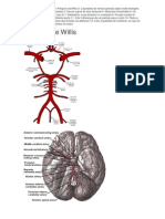 Poligono de Willis
