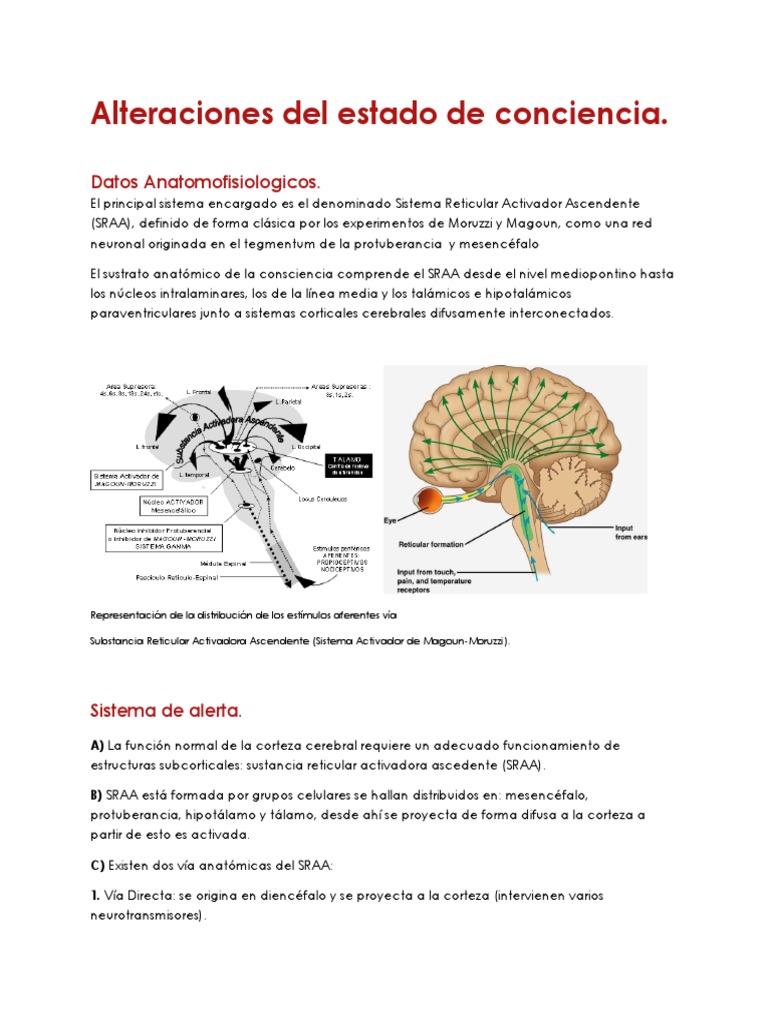 Alteraciones del Estado de Conciencia | PDF | Tálamo | Coma