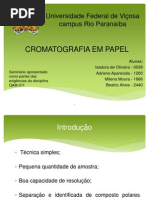 Cromatografia Em Papel