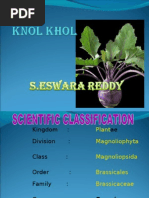 Download knolkhol Cultivation by DrEswara Reddy Siddareddy SN24669364 doc pdf
