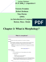 Chapter 3: What Is Morphology?