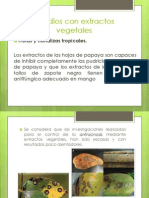 Estudios Con Extractos Vegetales Diapositivas