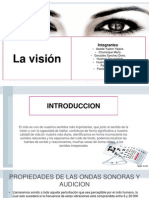Diapositivas Sobre La Vision