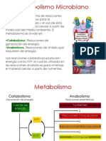 Metabolismo Microbiano