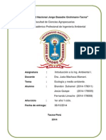 Ecologia y Medio Ambiente-Monografia