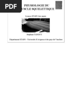 l1 Physiologie Muscle
