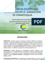 11 - Proteccion de ecosistemas estrategicos en la jurisdiccion de Corantioquia.pdf