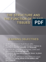 The Strucure and the Function of Plant Tissues 7