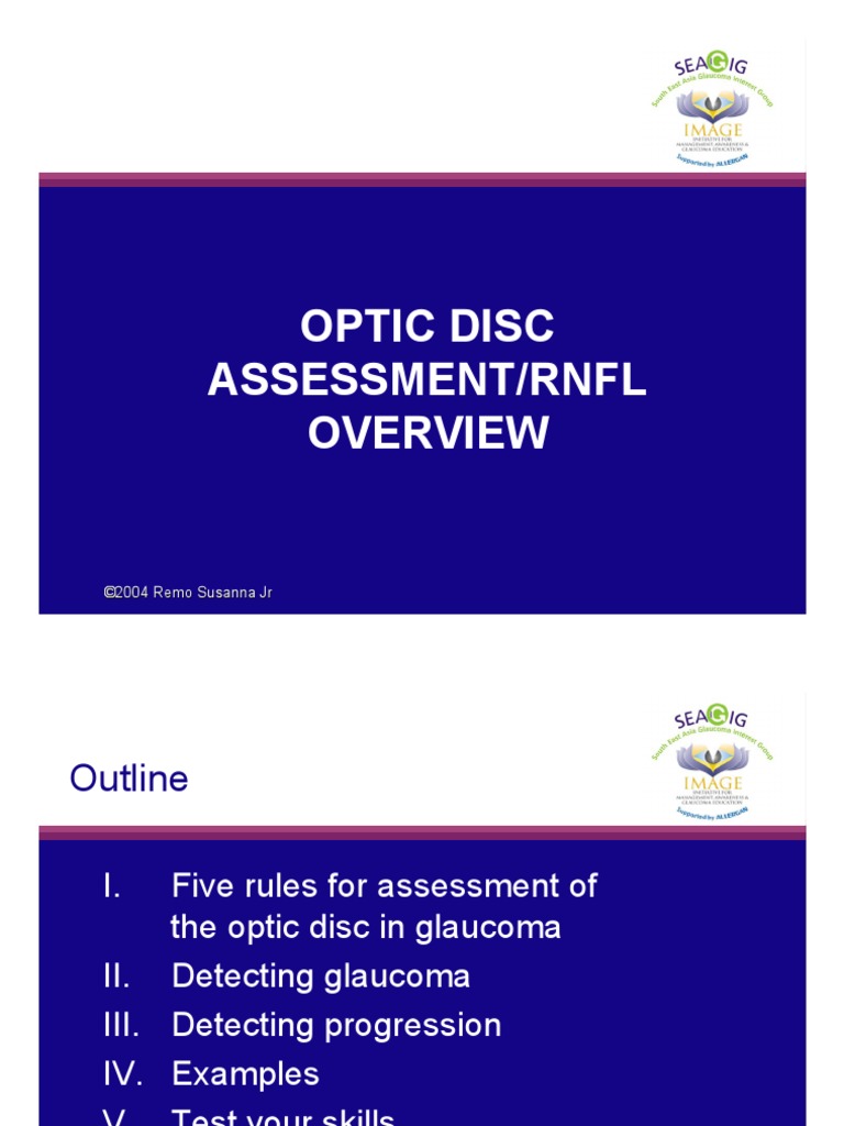 Optic Disc Assessment RNFL Overview PDF