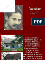 Nicolae Labis Viata Si Activitatea